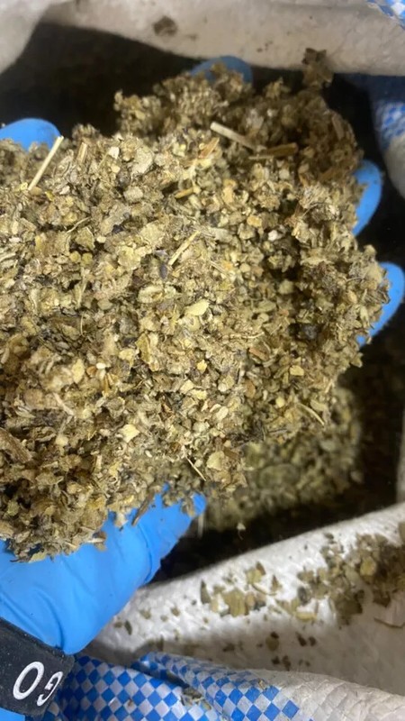 Mullein Leaf wild crafted Lung cut herb - oz lb 1 2 4 5 8 Pound Ounce gallery