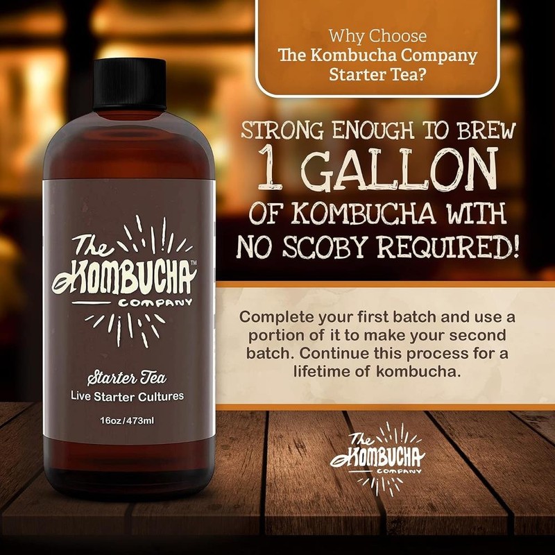 Kombucha Starter Tea | Grow SCOBY From Scratch | 16 oz Bottle gallery