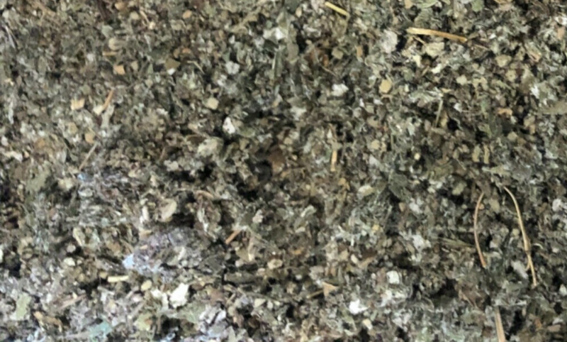 Mullein + Raspberry Leaf - Medicinal Prime Quality Organic Herb Mix 1/2 lb pound gallery