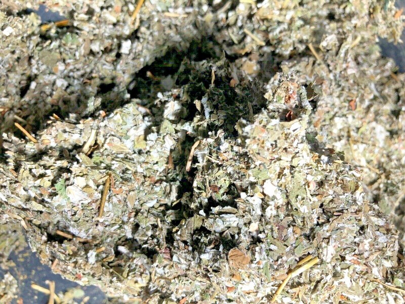 Red Raspberry Herb Leaf BULK Quality Organic 100% Natural – 8 oz’s