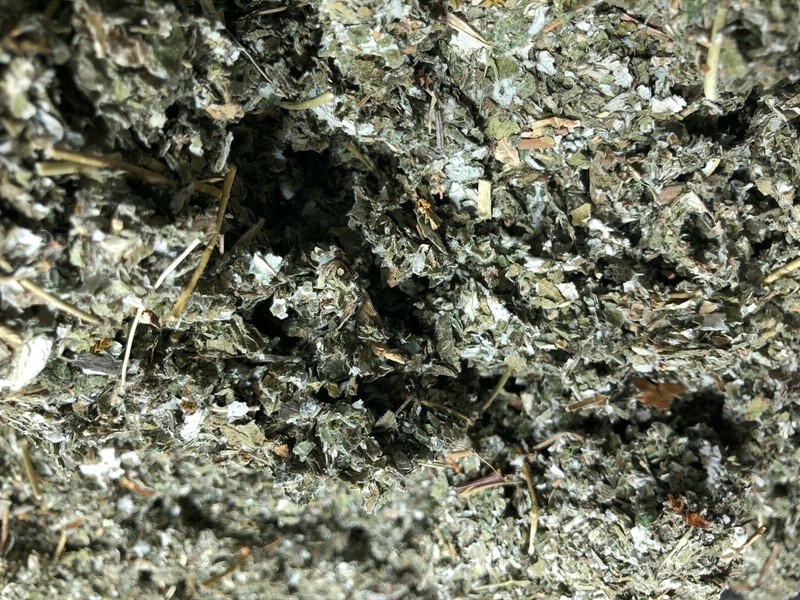 Red Raspberry Wild Crafted Kosher Natural Herbal Leaves Botanical bulk leaf 4 oz gallery
