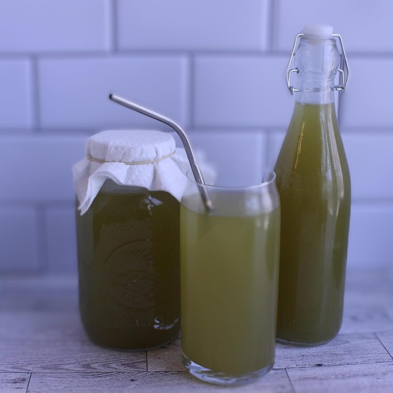 Matcha Kombucha Scoby Starter Kit with Starter Tea to Ferment Culture Healthy gallery