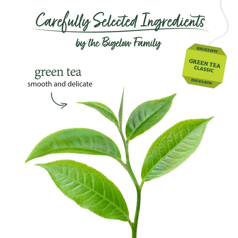 Classic Green Tea, Caffeinated Tea, 20 Count Box (Pack of 6), 120 Total Tea Bags gallery