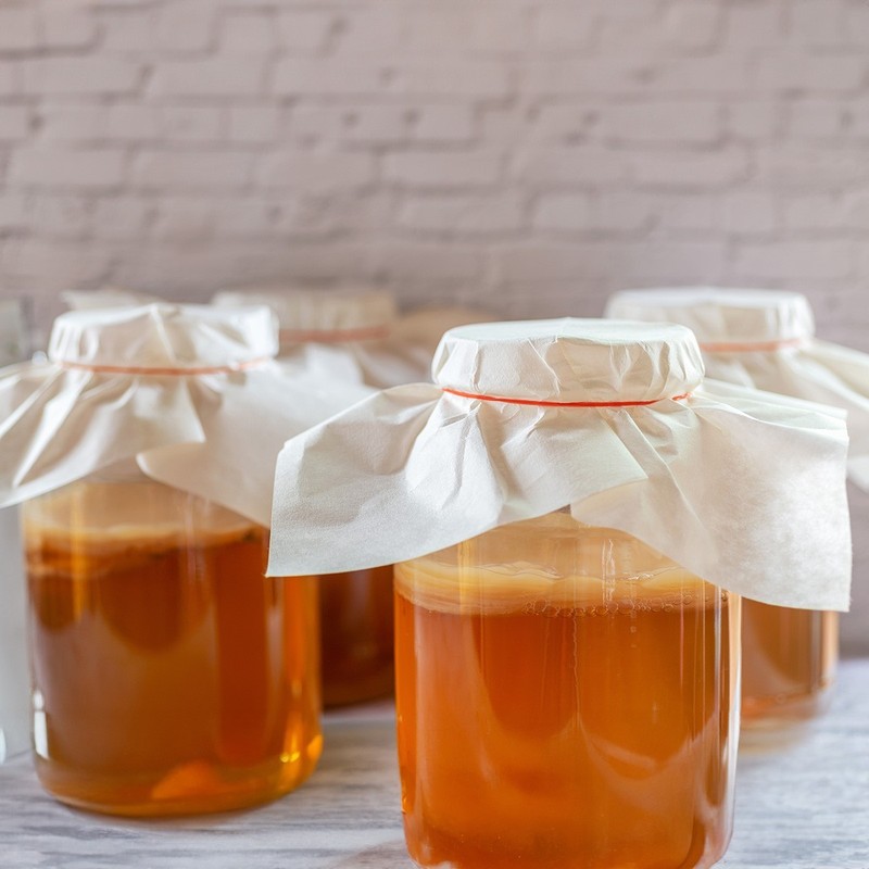 Scoby Kombucha FBA_LEPAZC5747 1 X Organic Kombucha Scoby-Live Culture gallery