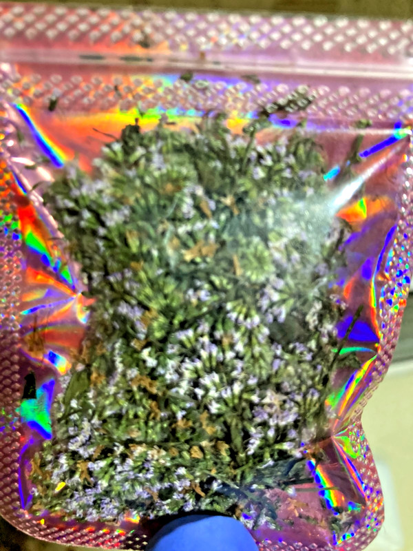 Organic Rooted Rituals© Herbs MAKE YOUR OWN HERBAL TEA! (Healthy Brews) gallery