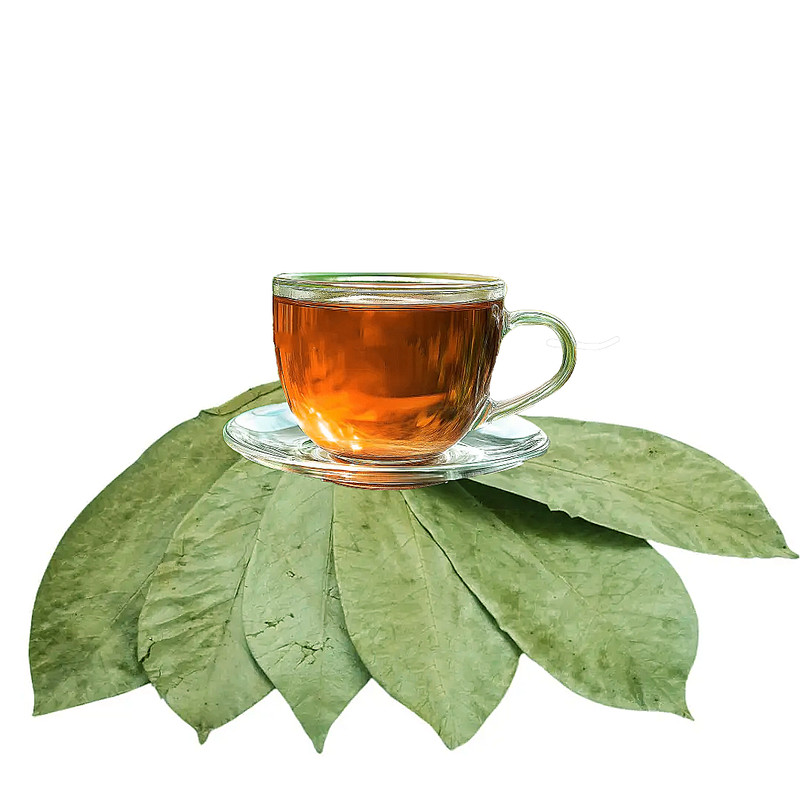 East Java® Freshly Dried Soursop Leaves (Annona Muricata) 400 Leaves gallery
