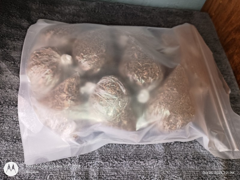 Valerian Root gallery