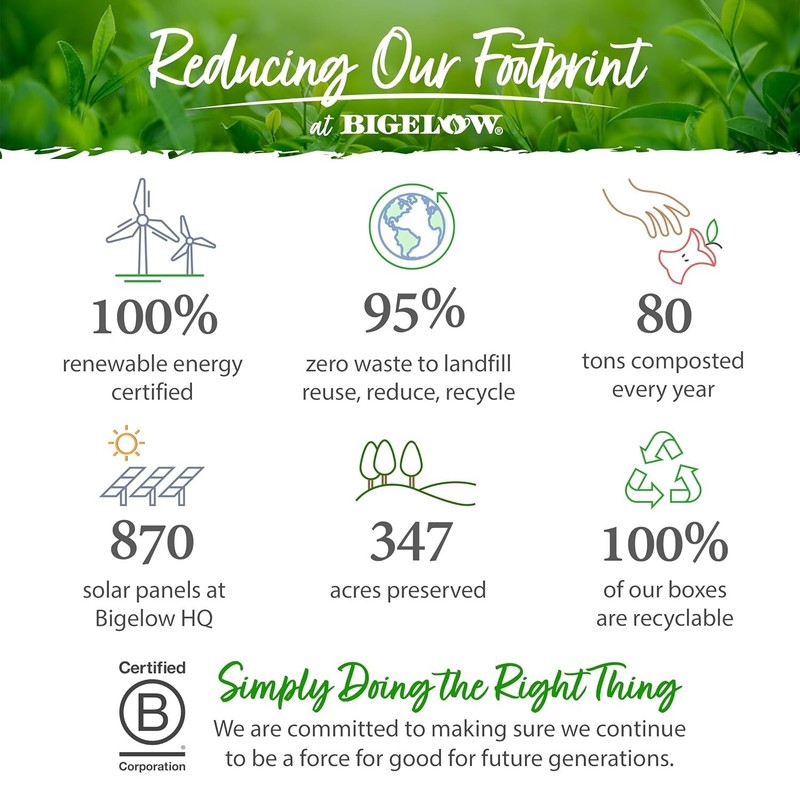 Bigelow Tea Gingerbread Pumpkin Peppermint Cinnamon Cranberry Salted Caramel 6Pk gallery