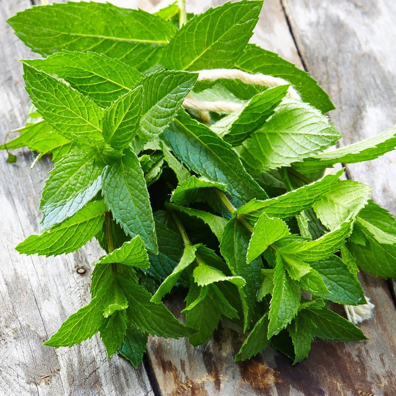 Moringa Peppermint Tea Bags (30) All-Natural, Premium - Caffeine-Free Herbal Tea gallery