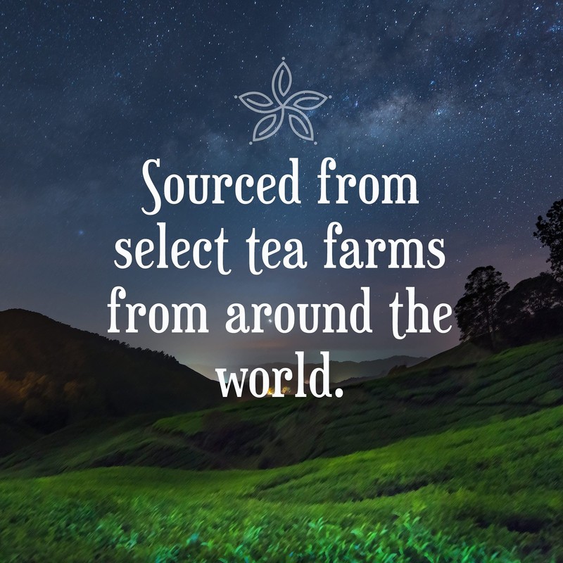 Constellation Tea Spiced Chai Black Tea Pods Compatible with K Cup Brewers In... gallery