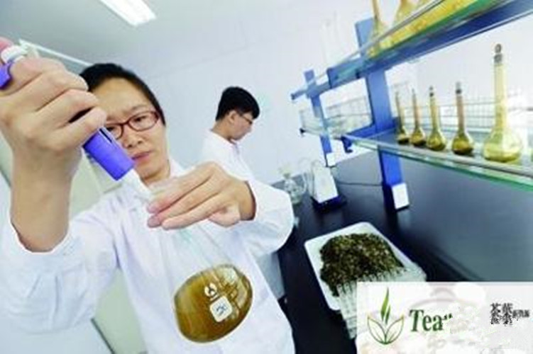 250g Old Puer Tea Health Care Pu'er Brick Pu er Tea Pu-erh Compressed Puerh 云南普洱 gallery