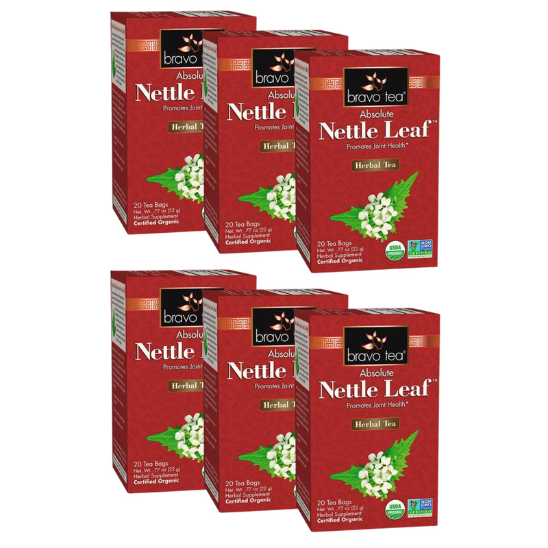 Absolute Nettle Leaf Tea by Bravo Tea (6 Boxes of 20 Teabags Each)