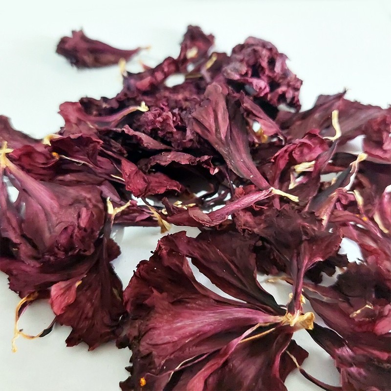100% Organic Dried Hibiscus Powder for Natural Herbal Tea 20g From Sri Lanka