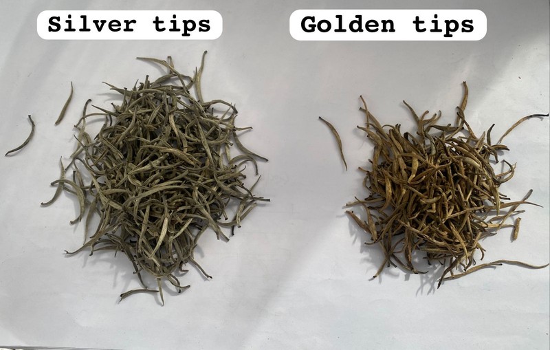 Premium Quality Loose Ceylon Tea Silver Tip/Golden Tip USDA HAC GMP 60g-300g gallery