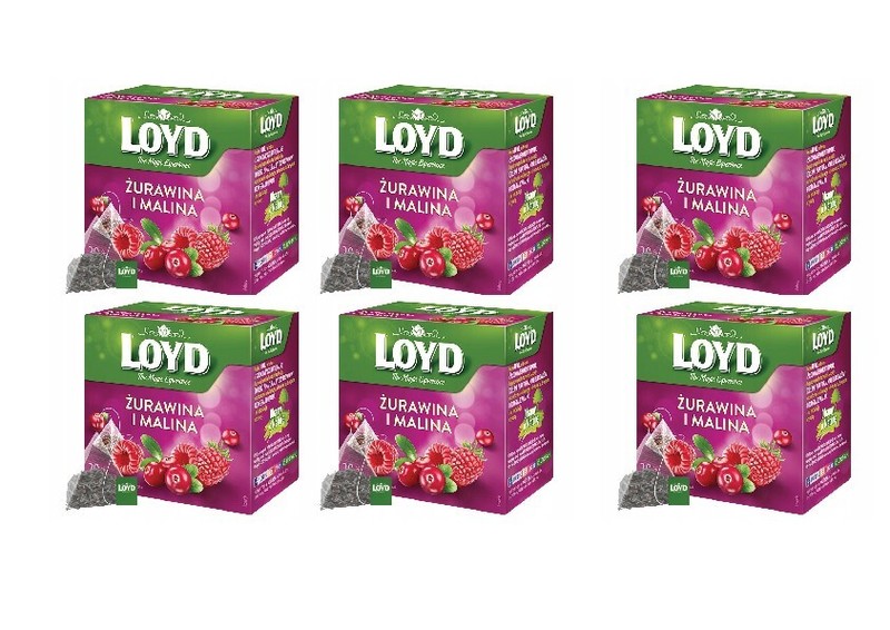 6x LOYD Cranberry & Raspberry Flavored Fruit Tea Silk Pyramid Bags 20 Pcs