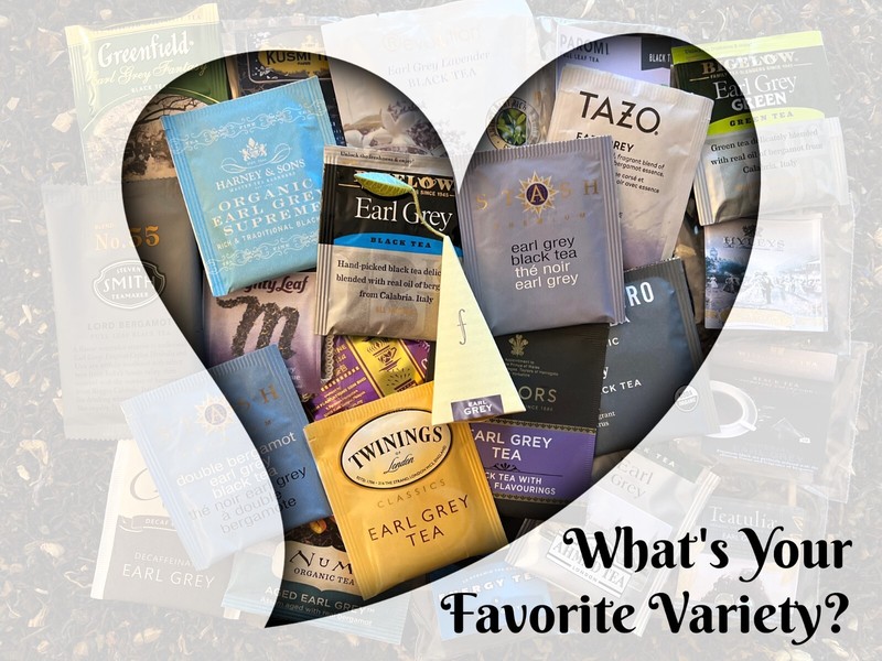 Earl Grey Tea Bag Sampler Variety Pack – 24 Single-Serve Varieties – 22 Brands