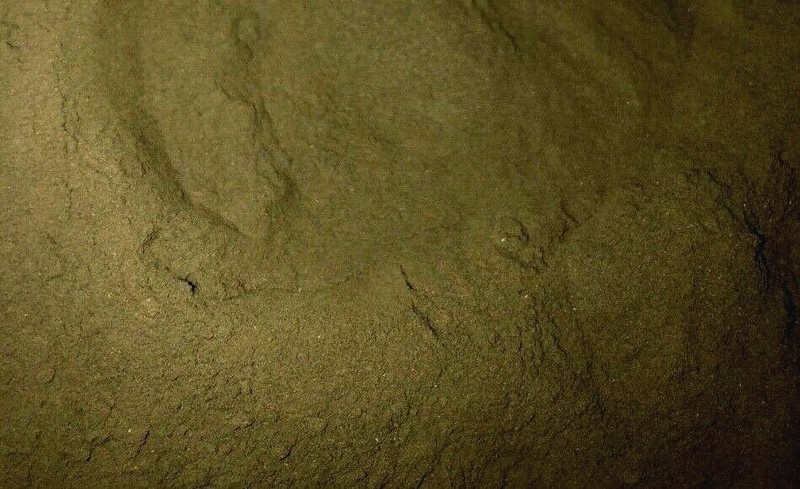 Organic Mullein Powder 1 lb Pound - 100% Natural Herb Leaf gallery