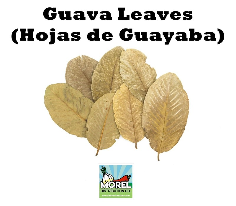Dried Guava Leaves, Hojas de Guayaba, Loose Guava Leaf Tea 2 oz and 4 oz