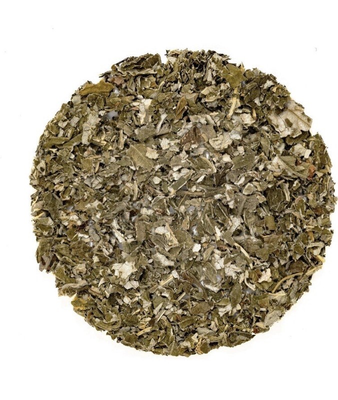Organic raspberry leaf tea gallery