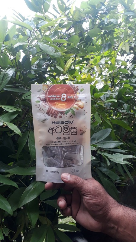 Ceylon Tea Spice Tea Boost your immunity power of 8 spices & herbs 15 Tea Bags