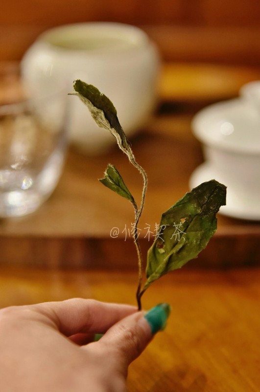 Fuding White Tea, 2023 First Spring Wild Shou Mei, 125g Bagged Chinese White Tea gallery