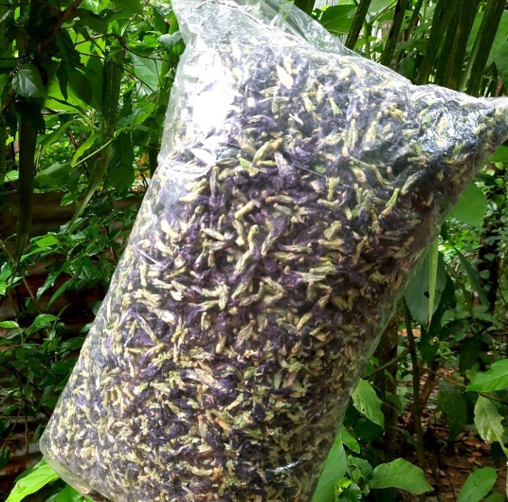 Blue Butterfly Pea Flowers Herb Tea Original CLITORIA TERNATEN 50g + FREE 10g