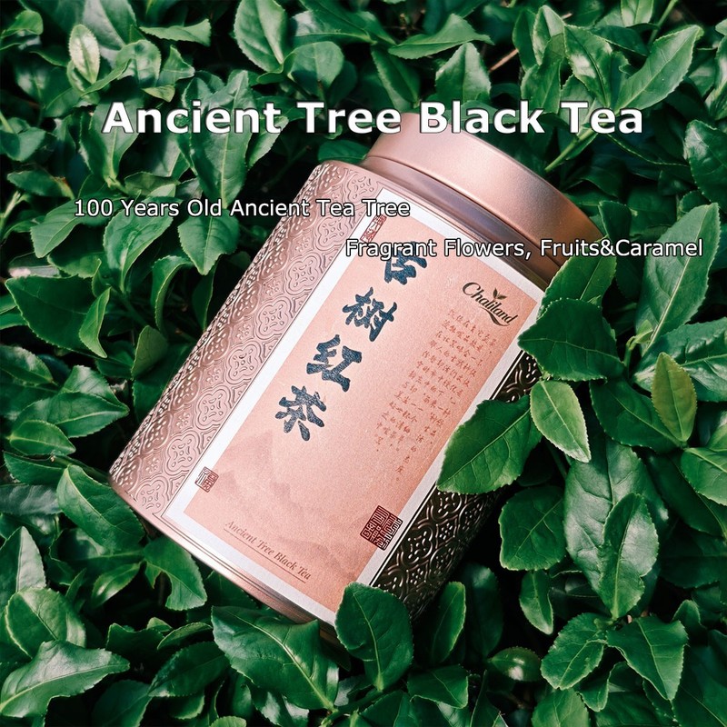 Wild Ancient Tree Black Tea, Floral & Fruity with Caramel Notes, Pure-04