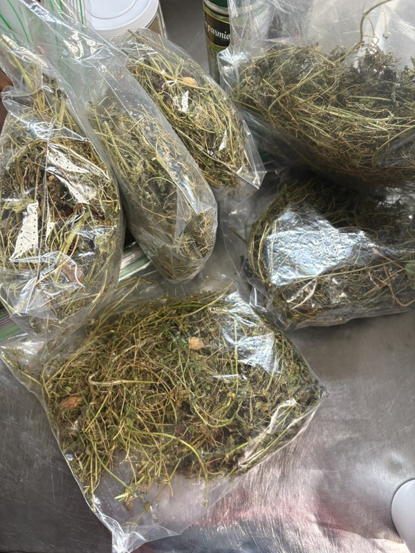 Asosi Or Dried Cerasee Leaves Momordica Charantia, Bitter Melon gallery