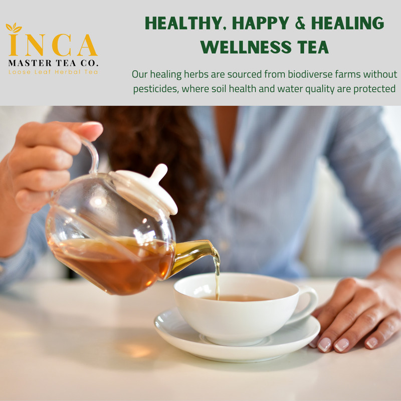 Inca Master Tea Soursop Tea Herbal Graviola Loose Leaf Medicinal Tea - 1 OZ gallery
