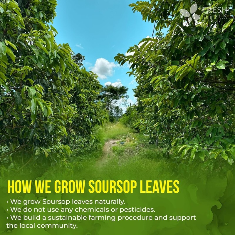 Handmade 40 Count Soursop Tea Bags - 100% Natural, Caffeine & Gluten Free gallery
