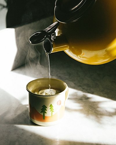 Juniper Ridge Douglas Fir Spring Tip Botanical Tea - Citrus Zest, Bright gallery
