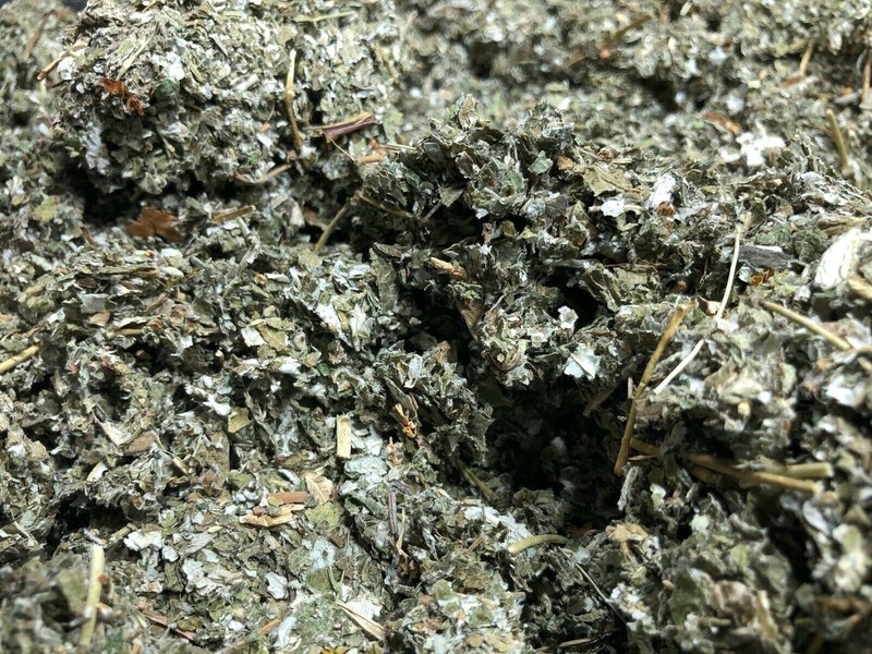 Rubus Idaeus RED Raspberry LEAF Herb Organic Natural Bulk Botanical – 14 oz