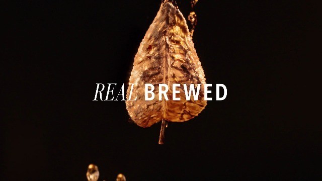 Refreshing Sweet Iced Tea - Real Brewed, 18.5 Fl Oz Bottles (12 Pack) gallery