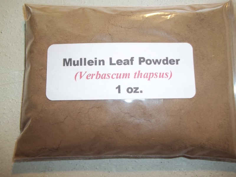 1 oz. Mullein Leaf Powder (Verbascum Thapsus)