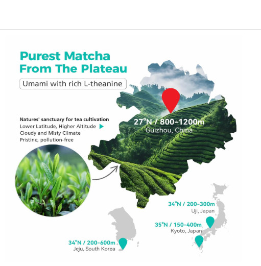 Matcha Powder, USDA-Certified Pure Matcha Green Tea Powder, Premium Culinary Gr gallery