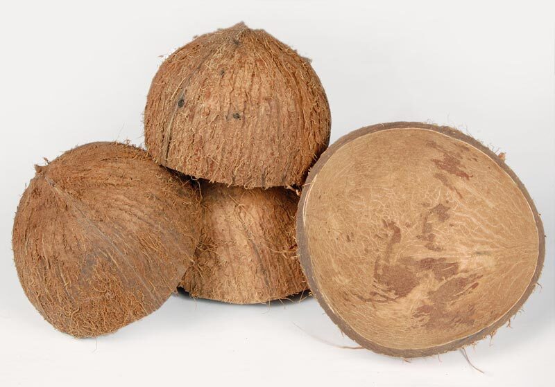 Coconut Shell Halves Natural Bowl Eco Friendly Ceylon Handmade 100% Organic.