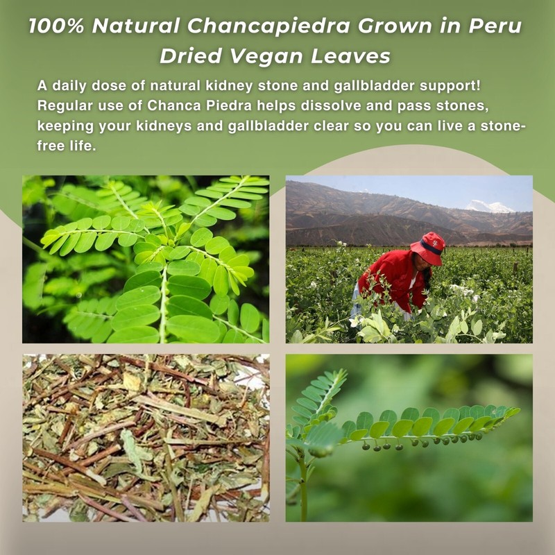 Chanca Piedra 40g Stone Breaker 1.4oz Loose Herbal Tea from Peru gallery