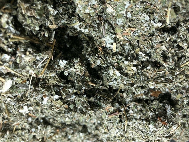 Organic Red Raspberry Herb Leaf - 1/8 lb gallery