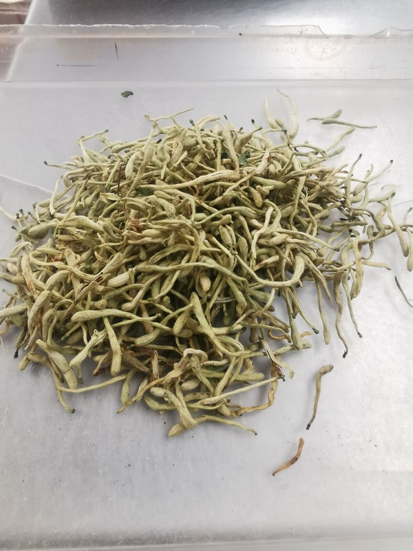 100% All Natural Dried Honeysuckle Flowers (Lonicera Japonica) 金银花 8 oz