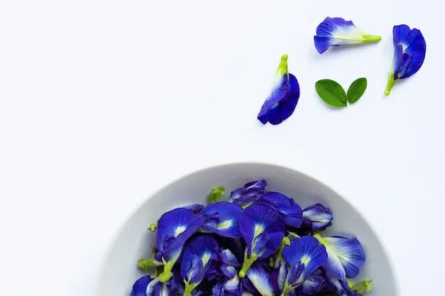 Home & Garden