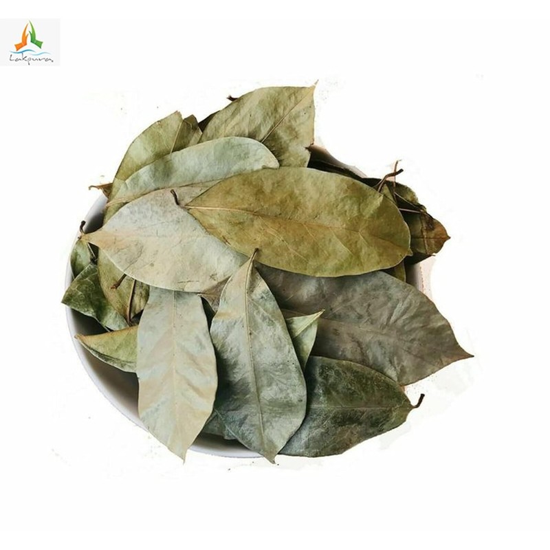 East Java® Freshly Dried Soursop Leaves (Annona Muricata) 400 Leaves gallery