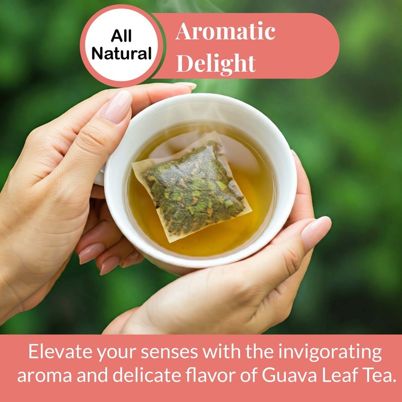 150 Organic Guava Leaf Tea Bags, Pure Guava Leaves Tea, Te de Hojas De Guayaba gallery