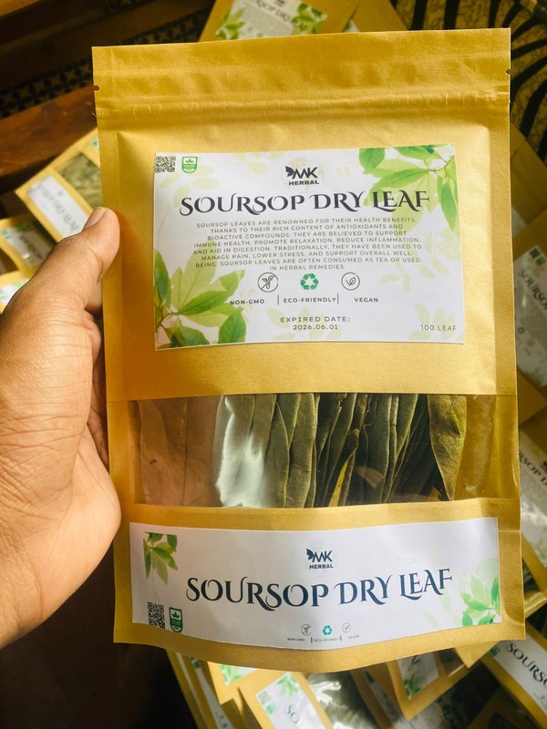 SOURSOP LEAVES Graviola | Powerful Tea Organic Wonder Herb Guyabano 100 leaf