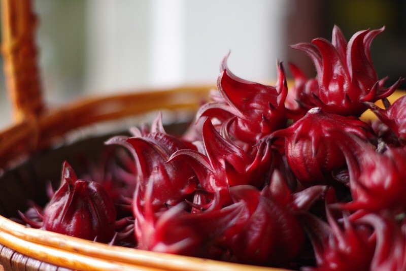 Dried Jamaican Sorrel Flor De Jamaica [20 Pounds]