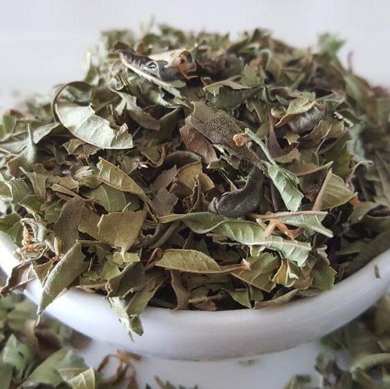 Organic Lemon Verbena