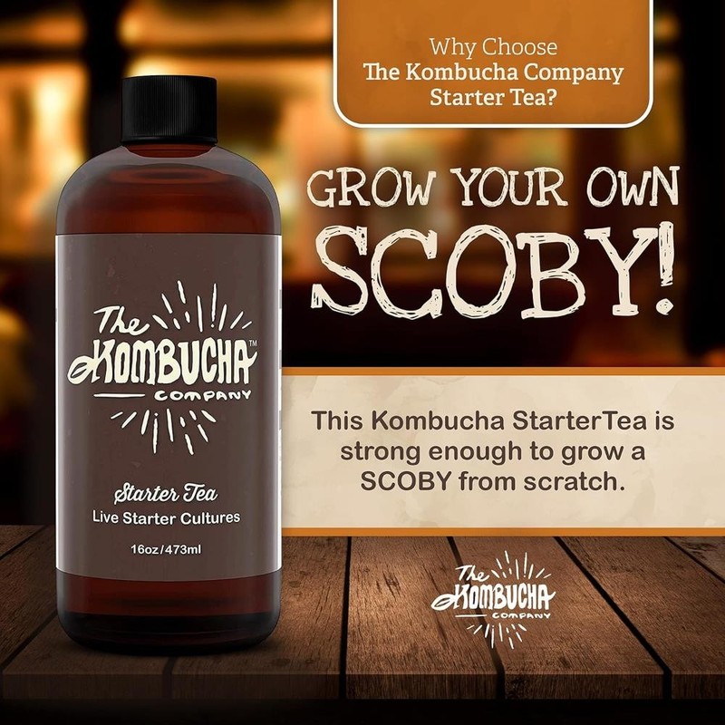 Kombucha Starter Tea | Grow SCOBY From Scratch | 16 oz Bottle gallery