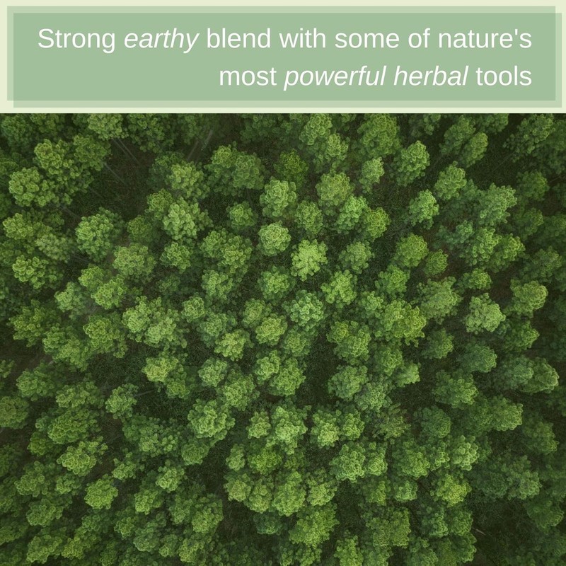 Organic Blood LifeBoost® Tea [28 Tea Bags] SpeedyVite® gallery