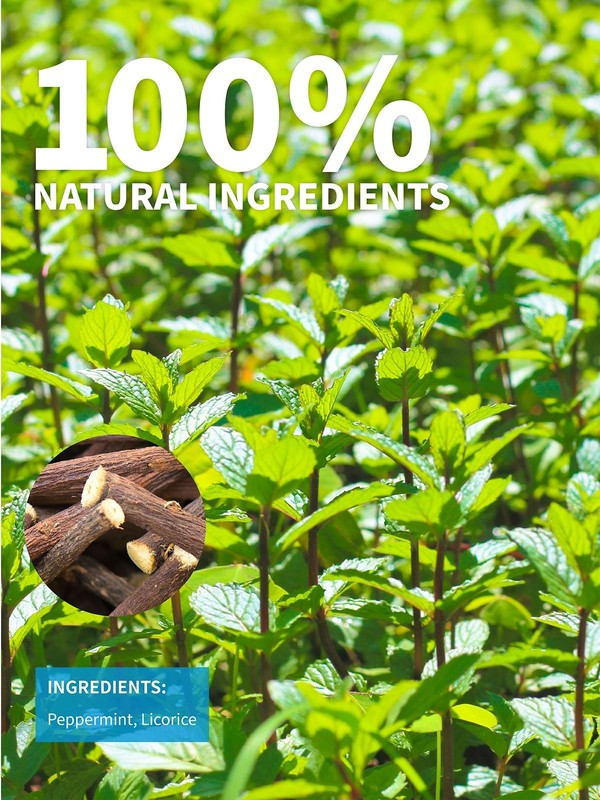 Licorice Peppermint Tea, Natural Soothing Peppermint with Sweet Licorice Root... gallery