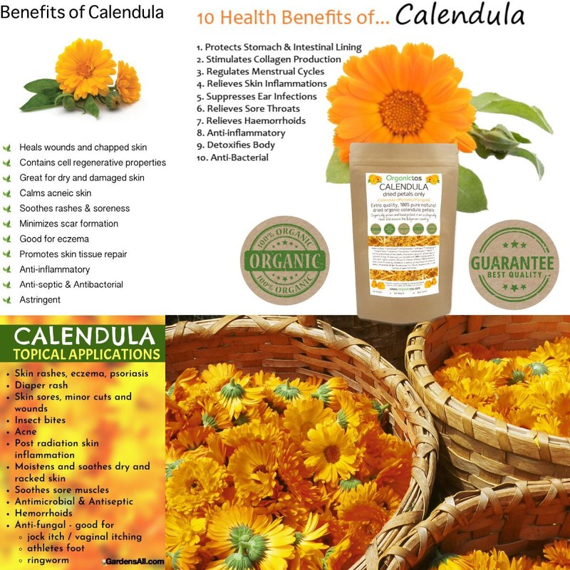 Calendula Petals Dried Organic Loose Tea Premium Quality Marigold Petal 25-100g gallery