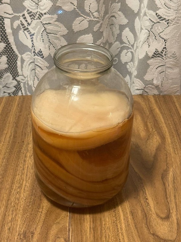 Large Live Kombucha SCOBY + Starter Tea | Tea Mushroom |Healthy Culture | Ready